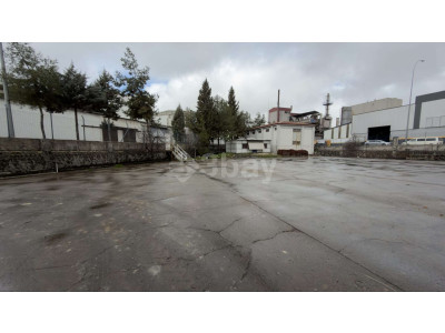 WhatsApp Image 2026-03-30 at 20.43.25 (2).jpeg